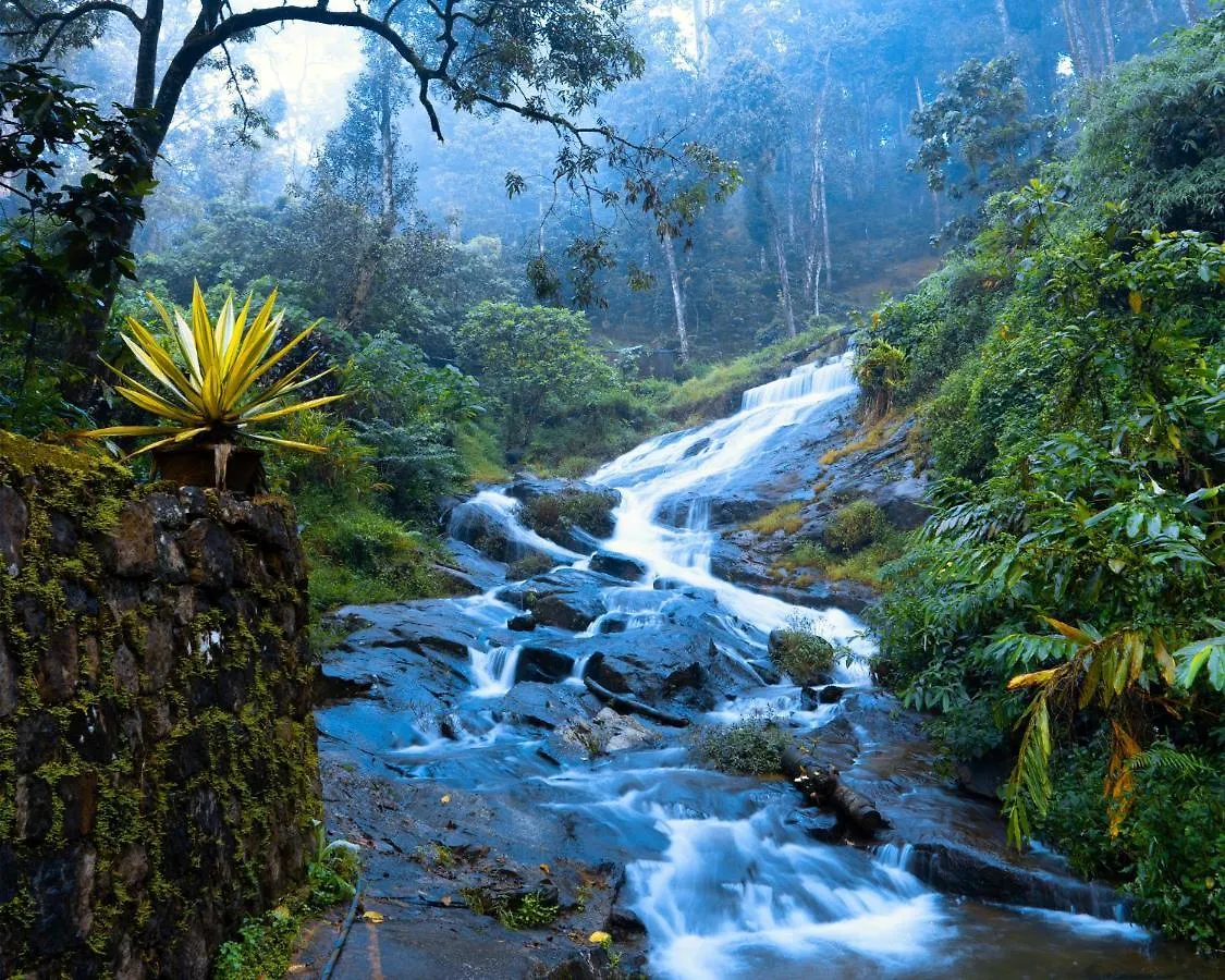 *** Hotel Falling Waters Munnar India