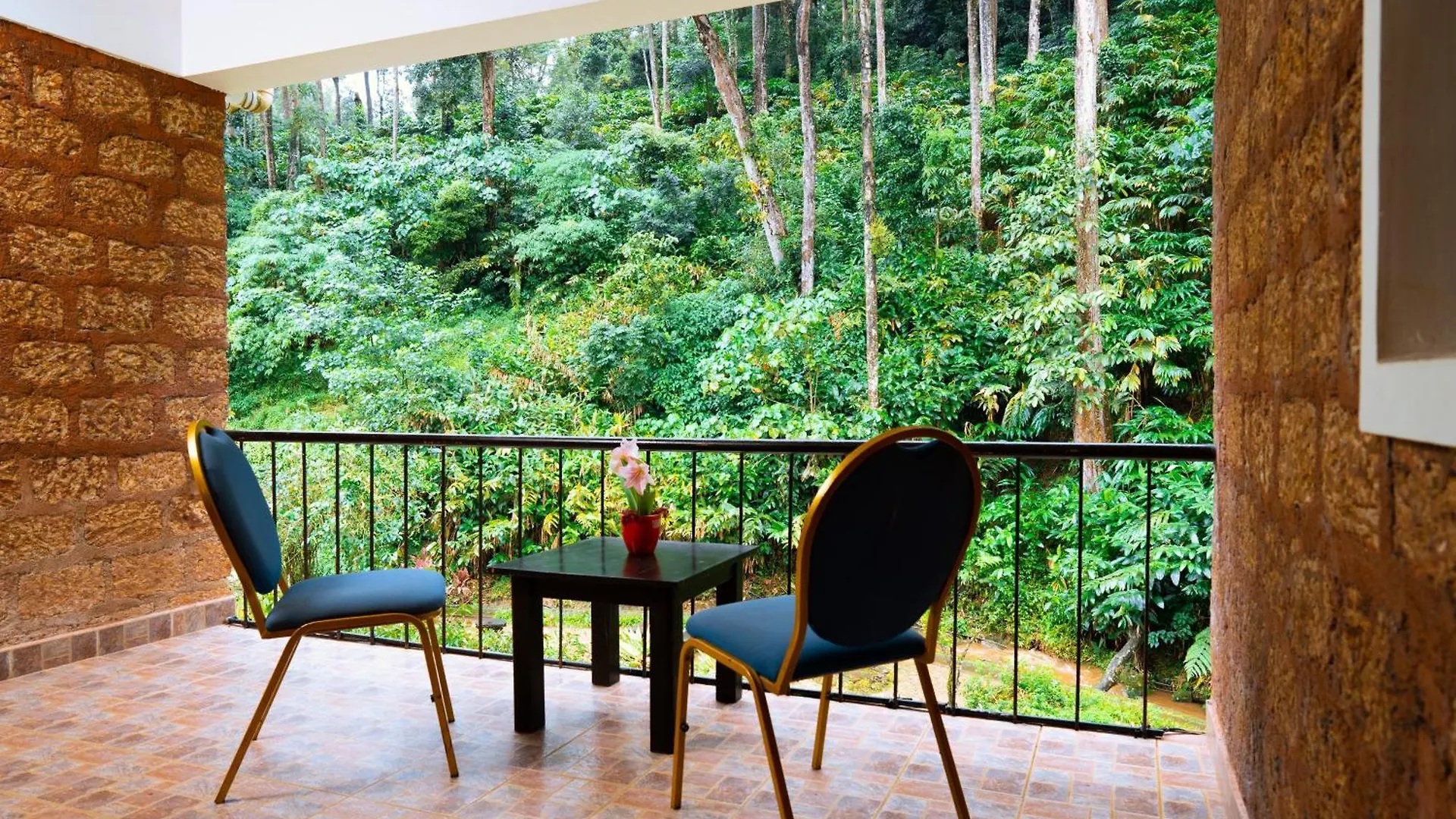 Falling Waters Munnar 3*,  India