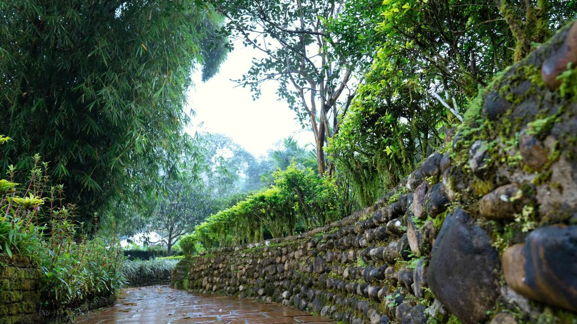 Falling Waters Munnar