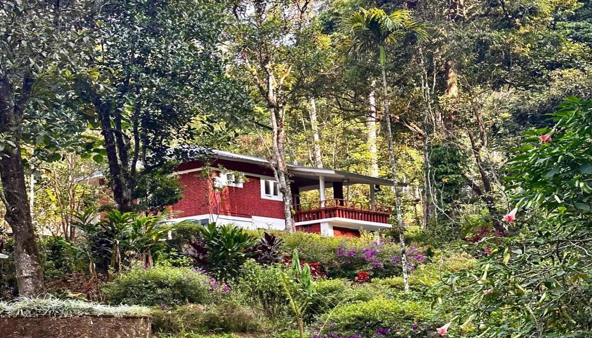 Falling Waters Munnar India